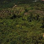 KOMPAS (Konsorsium Mahasiswa Pembaharuan Asahan) Desak Kapolres Asahan Hentikan Pembukaan Hutan Lindung di Desa Sei Tempurung