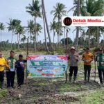 Sinergi Polri dan Masyarakat, Polsek Dendang Gelar Penanaman Jagung Serentak di Desa Tanjung Batu Itam