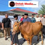Polres Belitung Laksanakan Pemotongan Hewan Qurban 9 Ekor Sapi dan 3 Ekor Kambing pada Hari Raya Idul Adha 1447 H