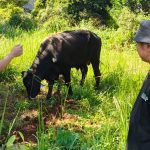 Ketua BMSN Apresiasi Bupati Bogor Atas Bantuan Qurban