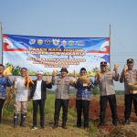Bupati dan Kapolres Purwakarta Panen Raya Jagung di Campaka, Dorong Swasembada Pangan dengan Teknologi Pertanian Modern