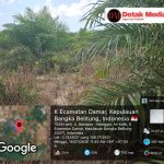 Lahan WPR yang Dulu Sempat di Ajukan, Kini Alih Fungsi Menjadi Kebun Sawit