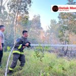 Tim Gabungan Polda Babel-Damkar Berjibaku Padamkan Karhutla di Pangkalpinang