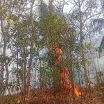 Darurat Kebakaran, Kota Banjar Kebakaran Meluas Sampai ke Wilayah Lakbok